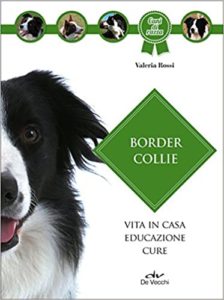 Border collie (Valeria Rossi)