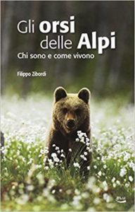 Gli orsi delle Alpi - Chi sono e come vivono (Filippo Zibordi)