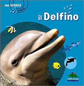 Il delfino (Delphine Grinberg)