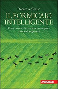 Il formicaio intelligente (Donato A. Grasso)