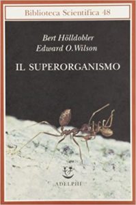 Il superorganismo (Bert Hölldobler, Edward O. Wilson, M. C. Nelson)