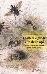La meravigliosa vita delle api (Gianumberto Accinelli)