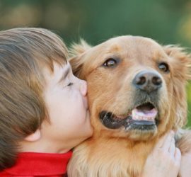 Top 5 libri sulla pet therapy