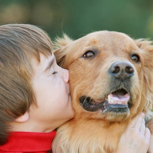 Top 5 libri sulla pet therapy